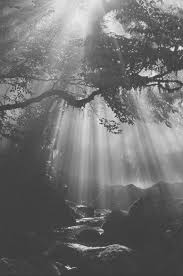 Imagenes Tumblr En Blanco Y Negro Las Mejores Fotos Todo Imagenes