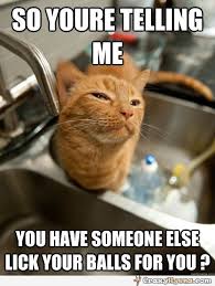 Pin On Humor
