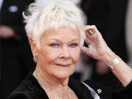 Credit for photos given to the best of my ability. Dame Judi Dench Another Beautiful Face Vicki Archer