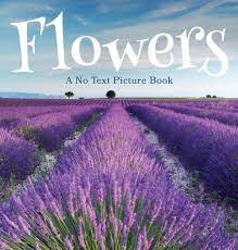 Dementia is a mental condition that affect many elderly people in the uk as they age. 1990181260 Flowers A No Text Picture Book A Calming Gift For Alzheimer Patients And Senior Citizen By Lasting Happiness