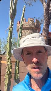 Allure Of The Desert