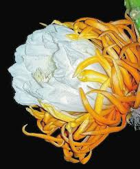 Good Morning Daydreamin' Family ... Wishing you and all of our new members  a wonderful Sunday and week ahead. As ever, we look forward to all of your  pics, posts and remembrances ... .