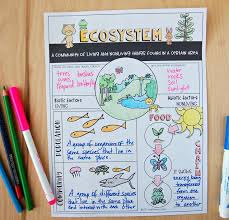 6th Grade Biotic And Abiotic Factors Worksheet Ecosystem Review Worksheet Ecosystems Teaching Ecosystems Ecosystems Projects