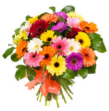 Maybe you would like to learn more about one of these? Cut Flower Myths And Tips Floral Gossip