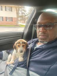 Introduction and tracking dogs