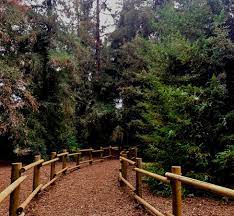 $5.00 (need exact change for meters) great nature hiking trails, a lake full of ducks, playgrounds. Carbon Canyon Regional Park Discover La Mirada California