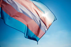 The transgender pride flag is a light blue, pink and white striped flag designed by american trans woman monica helms in 1999, and is a symbol of the transgender community, organizations, and individuals. Pride And Transgender Flags Will Be Raised At Vancouver City Hall Councillor News 1130
