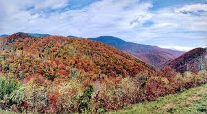 The park is also home to numerous species of wildlife, including deer, river otters, and even the occasional black bear. Black Mountain Nc Vacation Rentals Cabin Rentals More Vrbo
