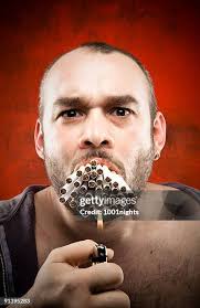 657 In Like Flint Stock Photos, High-Res Pictures, and Images