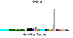 Valorile mari ale crp pot fi un semn al unei infecții grave sau un semn care indică. Proteina C Reactiva Wikipedia La Enciclopedia Libre
