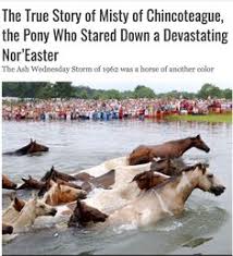 Fedex orders placed by 4pm cst ship same day. 15 Where The Red Fern Grows Art Ideas Ferns Art Fern Prints