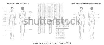 Save it on your phone and look at it whenever you have some. Parts Of Body Lady Name Human Body Parts Pictures With Names Body Parts Vocabulary Leg Head Face Governmentjobsmore