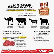 Tapi, untuk daging korban yang dah disedekahkan pula, daging korban tu menjadi milik. Sinar Harian Pembahagian Daging Korban Daging Korban Terbahagi Kepada Dua Jenis Iaitu Sembelihan Korban Wajib Nazar Dan Sembelihan Sunat Dapatkan Berita Menarik Di Https Www Sinarharian Com My Untuk Lebih Banyak Bahan Menarik Jangan Lupa