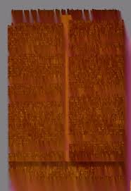 Image result for Pseudobromus engleri