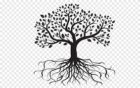Wurzeln Baum Wurzelbaumzeichnung Stammbaum Kunstwerk Schwarz Und Weiss Png Pngegg