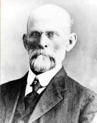John William McNeese (1843-1914)