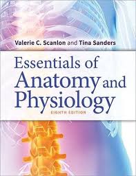 Essentials Of Anatomy And Physiology By Valerie C Scanlon Phd In 2020 Anatomy And Physiology Physiology Human Anatomy And Physiology