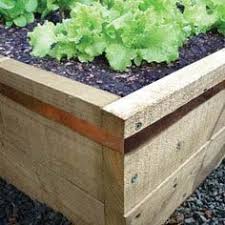 Slugs will only notice these traps from a few feet (about a meter) away, so this is best used for small gardens or important areas. Copper Slug Snail Tape Roll 10m Garden Express Planting Vegetables Plants Lawn And Garden