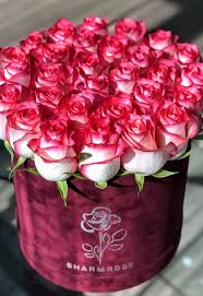 pin by sniega mart on rozy beautiful rose flowers flowers bouquet gift beautiful flower arrangements