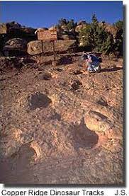 Maybe you would like to learn more about one of these? Mill Canyon Dinosaur Trail Utah Vacation Southwest Travel American Road Trip