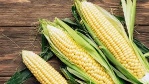 Efek luar biasa dari jagung rebus. 5 Tips Memilih Jagung Yang Segar Dan Manis Cukup Direbus Aja Bisa Jadi Kudapan Sehat