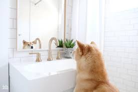 Deal include clothing, bags, personal care, shoes, dresses, etc. Ikea Vanity Mirror Design Ideas