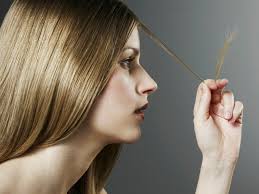 Notre sélection de soins bio pour un automne crinière au vent. Cheveux Fourchus Les Solutions Bluffantes Anti Fourches Blog Coiffea
