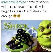 The 100 Funniest Shrek Jokes In The History Of Humanity Shrek Memes Shrek Hilarious
