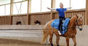 Getting Into Vaulting