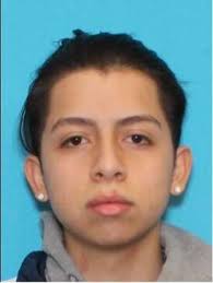 1 in custody 2 others sought in connection with smoke shop burglary in Fox  Lake