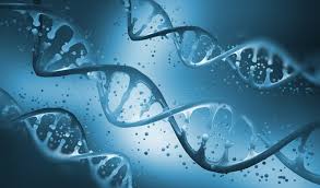 Bayer's AskBio Acquisition Strong Statement For Gene Therapy in Europe