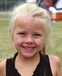 VIKING FLYER VIKING FLYER