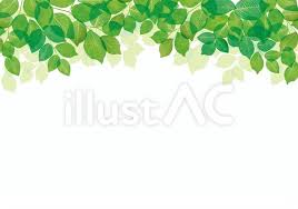 フレーム枠葉植物新緑春初夏おしゃれ素材絵イラスト No 843299 無料イラストなら イラストac