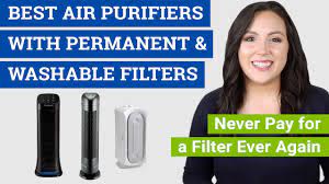 Do not return the filter until it is dry, as this can cause mold or mildew to accumulate. Best Air Purifier With Permanent And Washable Filter 2021 Reviews Buying Guide Youtube