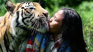 20 Amazing Facts About Tiger You Never Knew