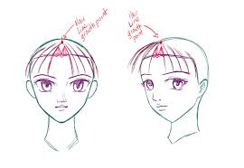 This will become clear as we draw the parts of the structure. How To Draw Anime Manga Hair Draw Central