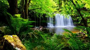 Best nature hd wallpapers for mobile and desktop, android and iphone. Hd Nature Wallpapers Landscape Green Cute Desktop Waterfall Desktop Backgrounds 1920x1080 Wallpaper Teahub Io