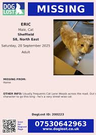 Abby Brown (@the_only_abi)