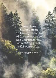 Sometimes All You Need Is 20 Seconds Of Insane Courage Sometimes All You Need Is 20 Seconds Of Insane Courage And I Promise Something Great Will Music Quotes Lyrics Songs One Direction Lyrics One Direction Lyrics
