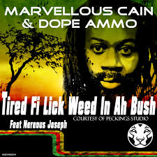 Who Do You Think You Are (Mkii Remix)