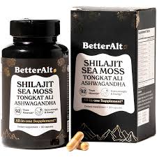 Image result for Shilajit