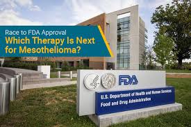 Maybe you would like to learn more about one of these? Which Therapy Is Next For Fda Approval For Mesothelioma