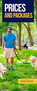 We actively encourage a culture of respect. Pet Sitting Forms Contract Dog Walking Forms Contracts