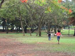 Everything you don't want to happen will happen, and you might find yourself begging for privacy and alone time. Why I Hate The 10 Things List On Parenting Kalpavriksha Farms