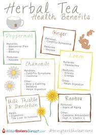 Herbal Tea Health Benefits Visual Ly