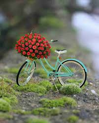 وصفات لطفلي ملكة الإبداع زاكي Recipe Beautiful Nature Wallpaper Miniature Photography Beautiful Wallpapers