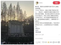 出片”极致化，正在催毁中国景区_TOM旅游