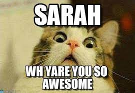 Sarah Memes