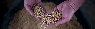 Propelled By U S Trade Talks China Charts A Course To