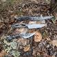 Bladesmithing: Railroad Spike to Knife